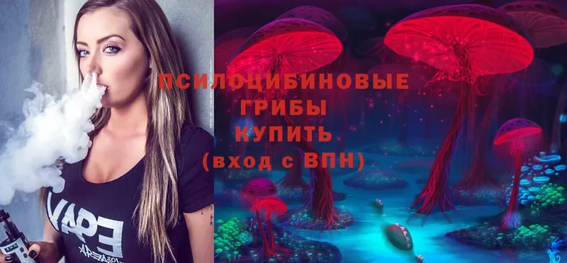 Галлюциногенные грибы Magic Shrooms  Шлиссельбург 